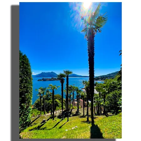 Vista Lago, Giardino A Vista Isole Borromee E Golfo Borromeo - Stresaflat Stresa