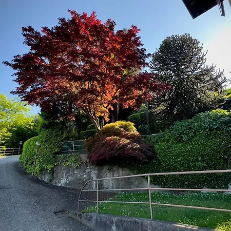 Daire Vista Lago, Giardino A Vista Isole Borromee E Golfo Borromeo - Stresaflat *